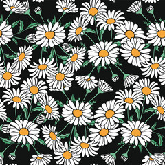 Chamomile seamless pattern. Vector background.