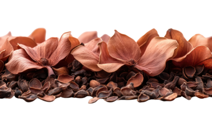Dried Blooms & Cocoa Nibs: A close-up shot showcases a collection of dried flowers and cocoa nibs, creating a unique textural and tonal composition