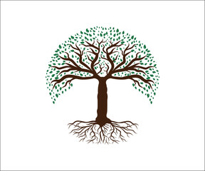 Obraz premium Tree with Visible Roots and Rounded Canopy