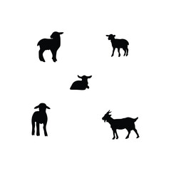 Animals silhouette