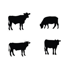 Cow Animals silhouette