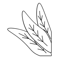 Obraz premium leaf plant corner outline ellement 