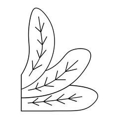 leaf plant corner outline ellement
