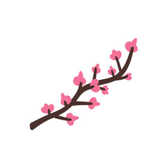 Stylized plum branch with pink blossoms on white