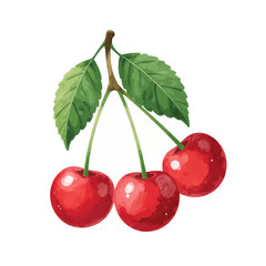 Three Red Cherries Watercolor Illustration
