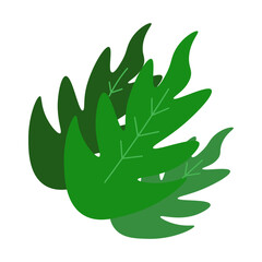 leaf corner border design illustration