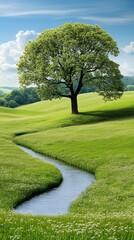 Fototapeta premium Solitary Tree by a Stream in a Sunlit Green Meadow
