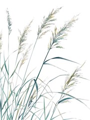 Fototapeta premium a close up of grass