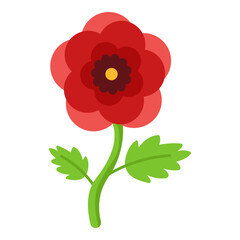 Poppy flower