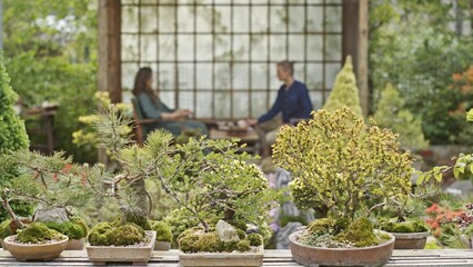 Engaging in Serene Interactions amidst a Beautiful Lush Garden Setting full of tranquility