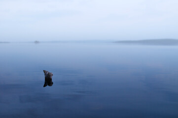 The Chebarkul Lake in the fog in Southern Urals, Russia, summer foggy water landscape. Selective...