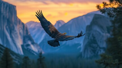 Obraz premium A lone eagle majestically flies over mountainous terrain during a vibrant sunset, capturing the essence of freedom and nature.