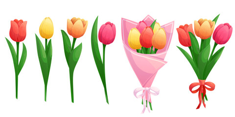 A set of tulips of different colors on a white background, individual flowers and bouquets. Isolated vector illustration for the design of postcards, clothing, textiles, banners and posters.