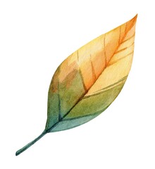 Beautiful watercolor painting of a leaf showing vibrant autumn colors in shades of green, yellow, and orange