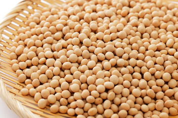 大豆　Soybean