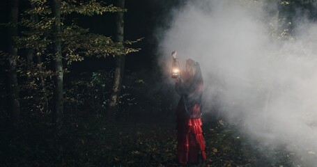 A Mysterious Encounter Within the Enigmatic Forest During the Dark of Night Time