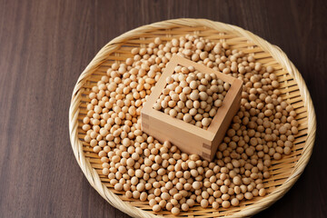 大豆　Soybean