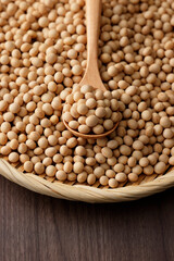 大豆　Soybean