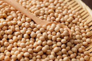 大豆　Soybean