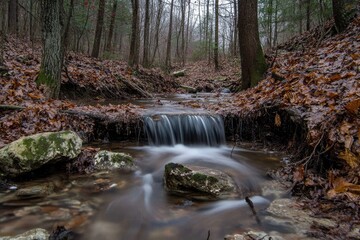 Obraz premium Serene Autumnal Cascade Water Flowing Gently Through a Forest of Changing Leaves