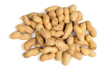 Peanuts isolated on white background.