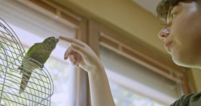 A young girl plays with her green-cheeked conure parrot beside its cage at home, joyfully interacting with her feathered companion.
