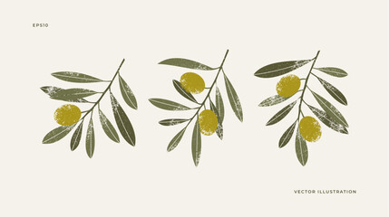 Olive branch collection. Set of olive leaves with berries. Vector illustration