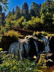 Enchanting waterfall cascades surrounded by lush greenery in a serene forest setting during bright...