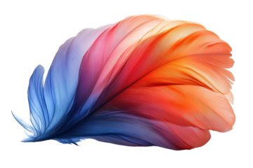 A vibrant, colorful feather showcasing a blend of orange, pink, and blue hues against a white background, ideal for artistic and nature themes.