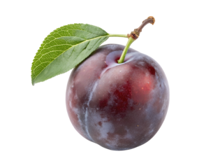 Fresh Zwetschge plum fruit, whole and sliced, isolated on a transparent white background. High-resolution cutout with vibrant color, natural texture perfect for digital design, packaging, or print use