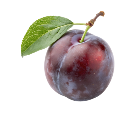 Fresh Zwetschge plum fruit, whole and sliced, isolated on a transparent white background. High-resolution cutout with vibrant color, natural texture perfect for digital design, packaging, or print use