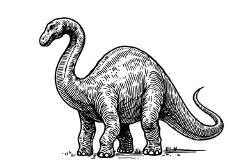 brontosaurus standing black paleo engraving illustration © Mago
