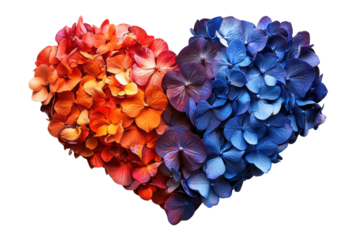 A vibrant heart shape composed of orange and blue hydrangea petals, symbolizing love and beauty against a white background.