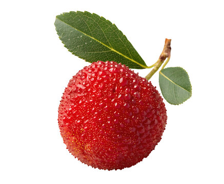 Fresh yumberry fruit isolated on a white transparent background, high-resolution cutout with realistic texture, vibrant red color, detailed surface, and natural shape, perfect for digital use