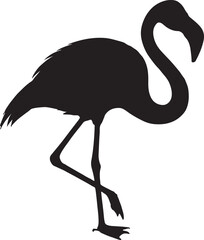 Obraz premium flamingo bird silhouette victor design image isolated on the white background.