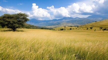 Fototapeta premium A serene landscape featuring rolling hills and tall grasses under a vibrant sky, Ideal for nature-themed projects, travel articles, or relaxation content,
