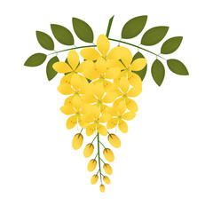 Cassia fistula, kanikonna flower or golden shower Isolated on transparent background, png image, for vishu festival of kerala 