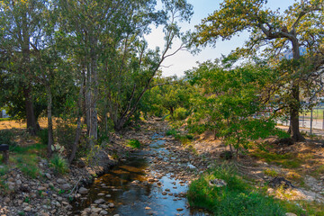 Obraz premium Eerste river in stellenbosch slowly moving downstream over round rocks and stones through lush green forest in the middle of the city. Sunny summer scene.