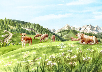 Fototapeta premium Cows on the alpen midow, Hand drawn watercolor illustration with copy space