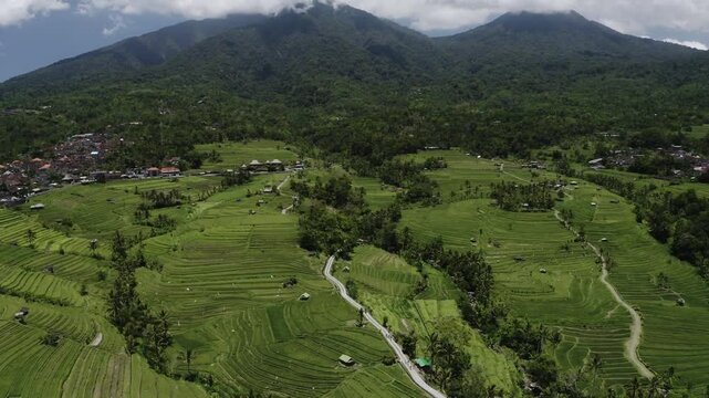 Lush green rice terraces stretch across Bali's landscape with winding paths cutting through fields. Small huts dot area, surrounded by dense trees. Mountains rise in background under partly cloudy sky