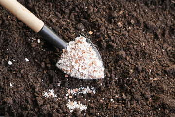 Fertilizer for Soil Eggshells. Organic waste, Bio Compost waste recycling. Selective Focus