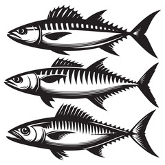 Illustration of fish (mackerel) seafood vector