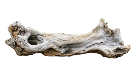 Weathered driftwood log isolated on transparent background