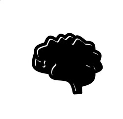 Human brain organ design, Human brain vector, brain symbol isolated on white background, Side view. Central nervous system, Brains Icon, Human brain icon, simple design.