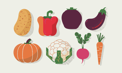  Modern vector-style illustration of various vegetables, including a potato, red bell pepper, tomato, eggplant, pumpkin, cauliflower, radish, easily editable.