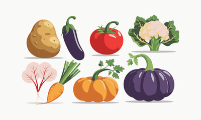  Modern vector-style illustration of various vegetables, including a potato, red bell pepper, tomato, eggplant, pumpkin, cauliflower, radish, easily editable.