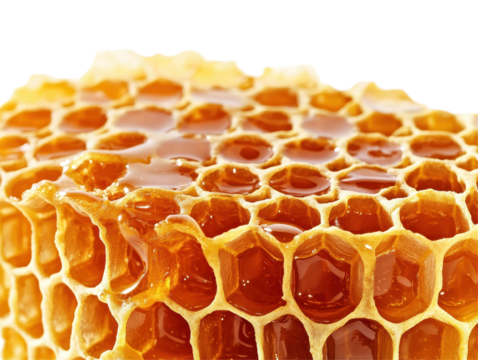 Isolated Honeycomb with Dripping Honey