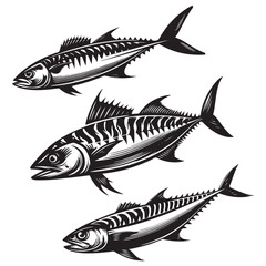 Illustration of fish (mackerel) seafood vector
