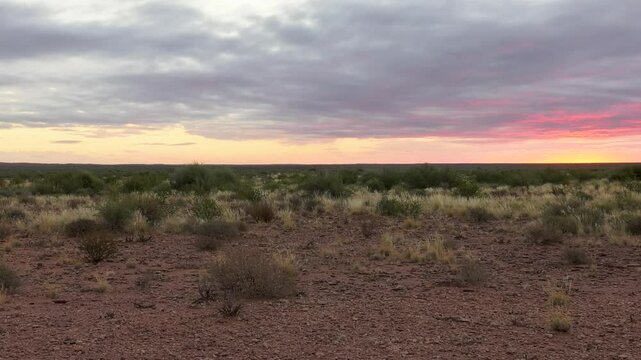 sunset at the farm, Australian plain semi-arid outback, Arizona or Texas acre lot light bush, south african farm on dry land karoo, cloudy sky