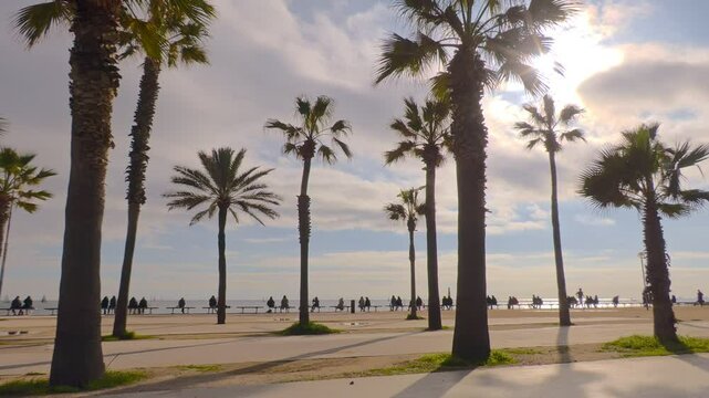 siluets on the beach in Barcelona